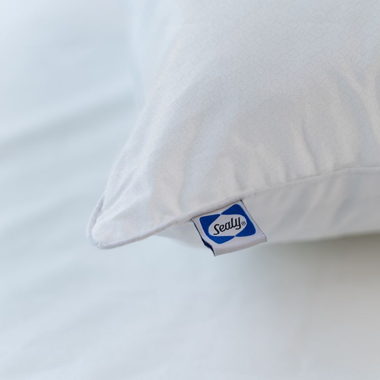 Sealy shops clusterfill pillow