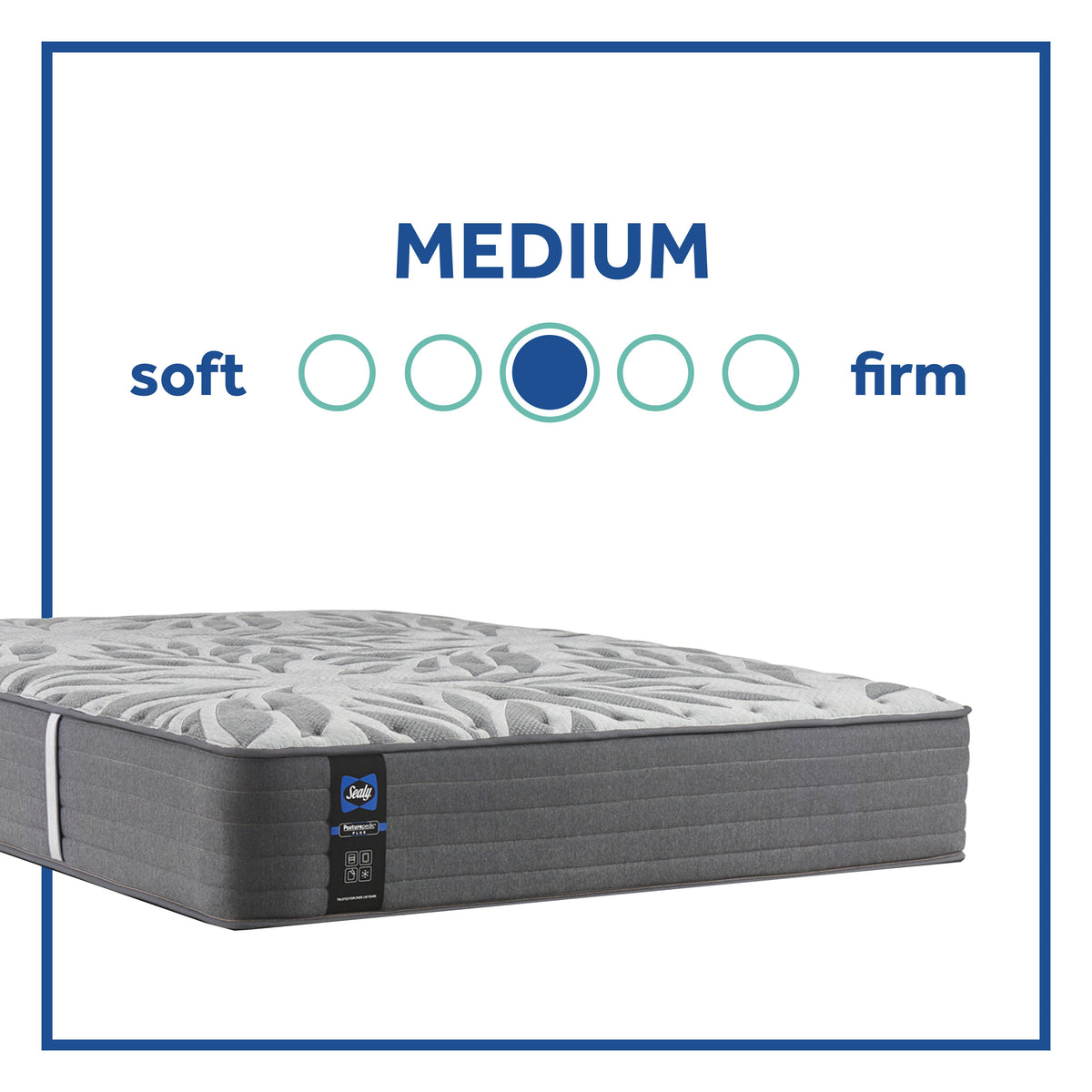 Sealy mount deals auburn king mattress