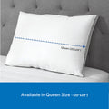 Sealy® Pillow - Sealy Firm Support Pillow