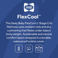 Sealy® FlexCool™ 2-Stage Airy Cool Topper Sealy®  Baby & Toddler Crib Mattress