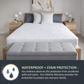 Sealy® Mattress Protector -  Sealy Luxury Knit Mattress Protector