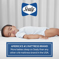 Sealy® Butterfly Premium Foam Crib Mattress and Toddler Mattress