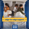 Sealy® Essentials 12-Inch Memory Foam Medium Hybrid mattress