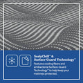 Sealy Posturepedic® Plus Hybrid 14