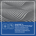 Sealy Posturepedic® Plus Hybrid 13