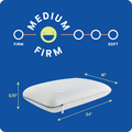 Sealy® Dreamlife™ Memory Foam Gel Pillow Standard or King