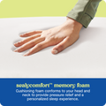 Sealy® Dreamlife™ Memory Foam Pillow Standard or King