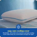 Sealy® Dreamlife™ Memory Foam Pillow Standard or King