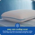 Sealy® Dreamlife™ Memory Foam Performance Pillow, Standard