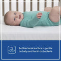 Sealy® Butterfly Antibacterial 2-Stage Foam Crib and Toddler Mattress