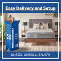 Sealy Posturepedic® Memory Foam 12