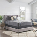 Sealy Posturepedic® Plus 14