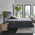 Sealy Posturepedic® Plus 12