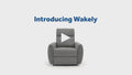 Wakely Motion Recliner