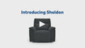 Sheldon Power Lift Assist Recliner