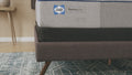 Sealy Posturepedic® Memory Foam 13