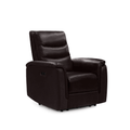 Jann Power Recliner